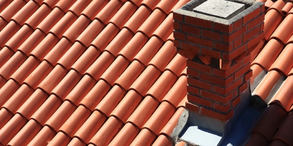 Czy osika czyści komin?