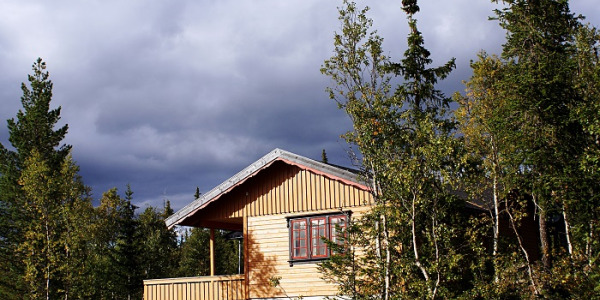 Opinie o domach letniskowych co warto wiedzieć?