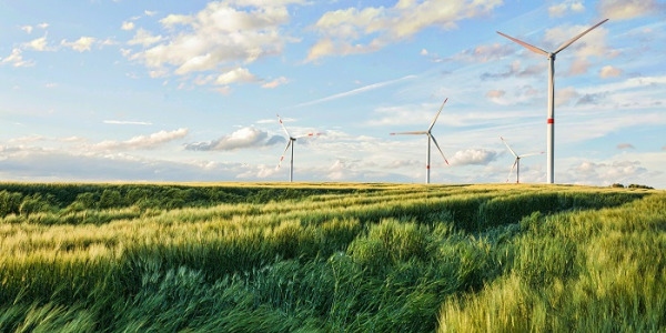 Kompendium wiedzy o Odnawialnych Źródłach Energii