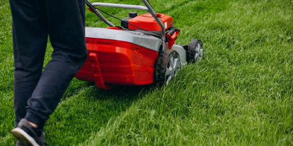 Wertykulacja trawnika klucz do zdrowej murawy