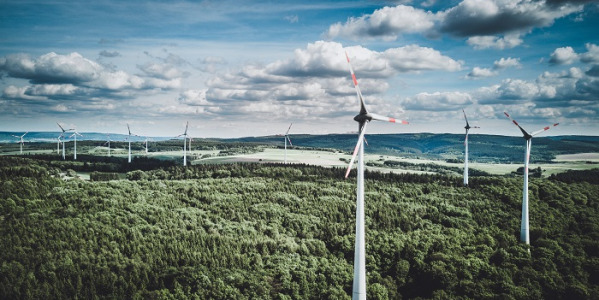 Wszystko o elektrowniach wiatrowych zielona energia przyszłości